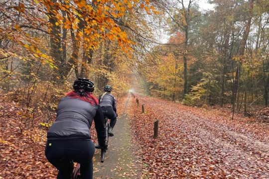 Mountainbike Beetserzwaag